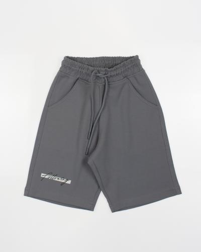 20250127-IMG_9662-2 20250127-IMG_9662-2