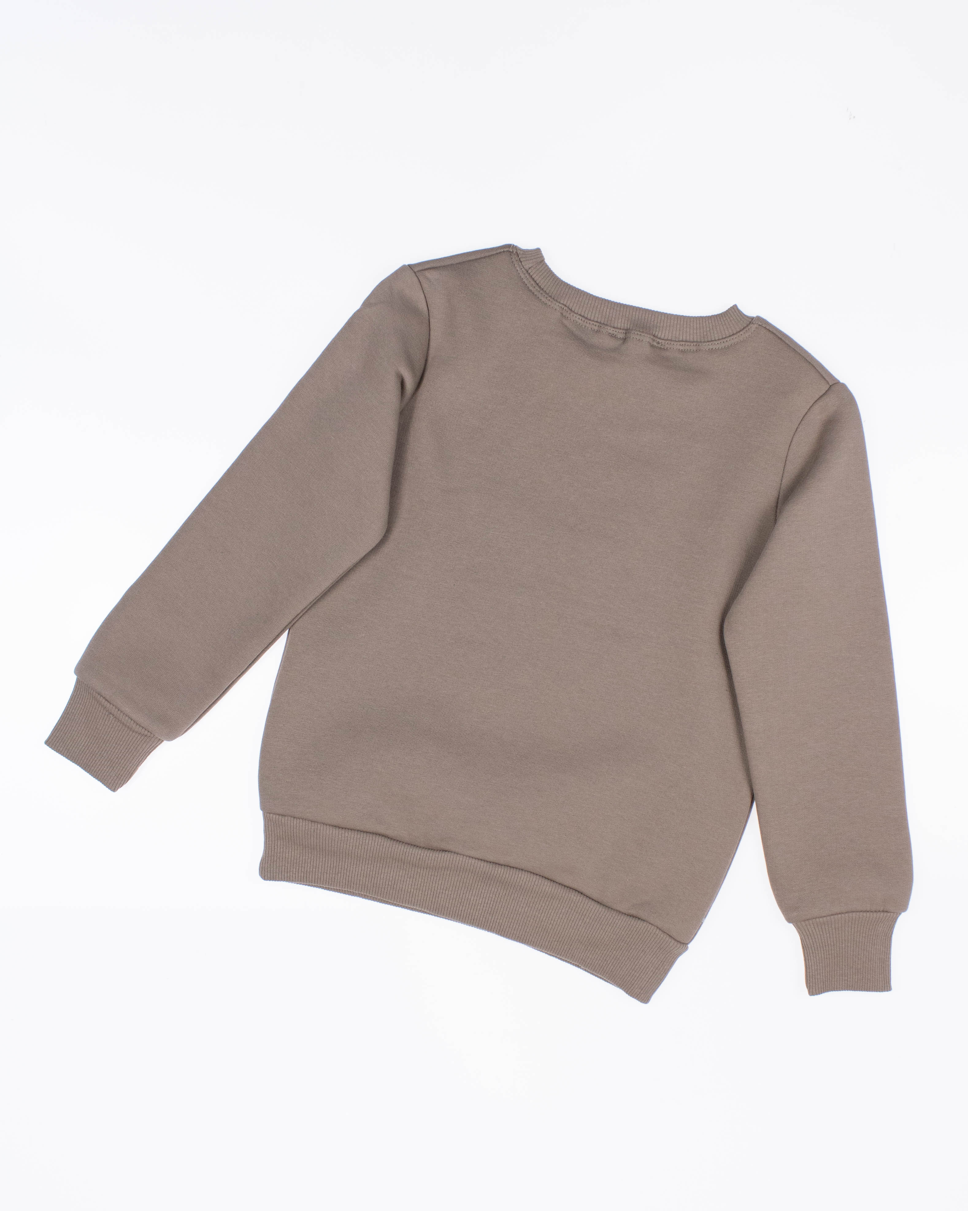 FIRST KIDS 0853 Свитшот утепленный FIRST KIDS 0853 Свитшот утепленный фото