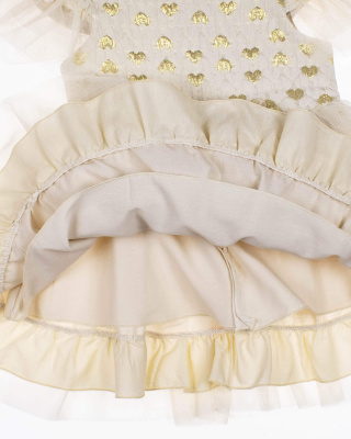 2023_12_07_0081920 2023_12_07_0081920